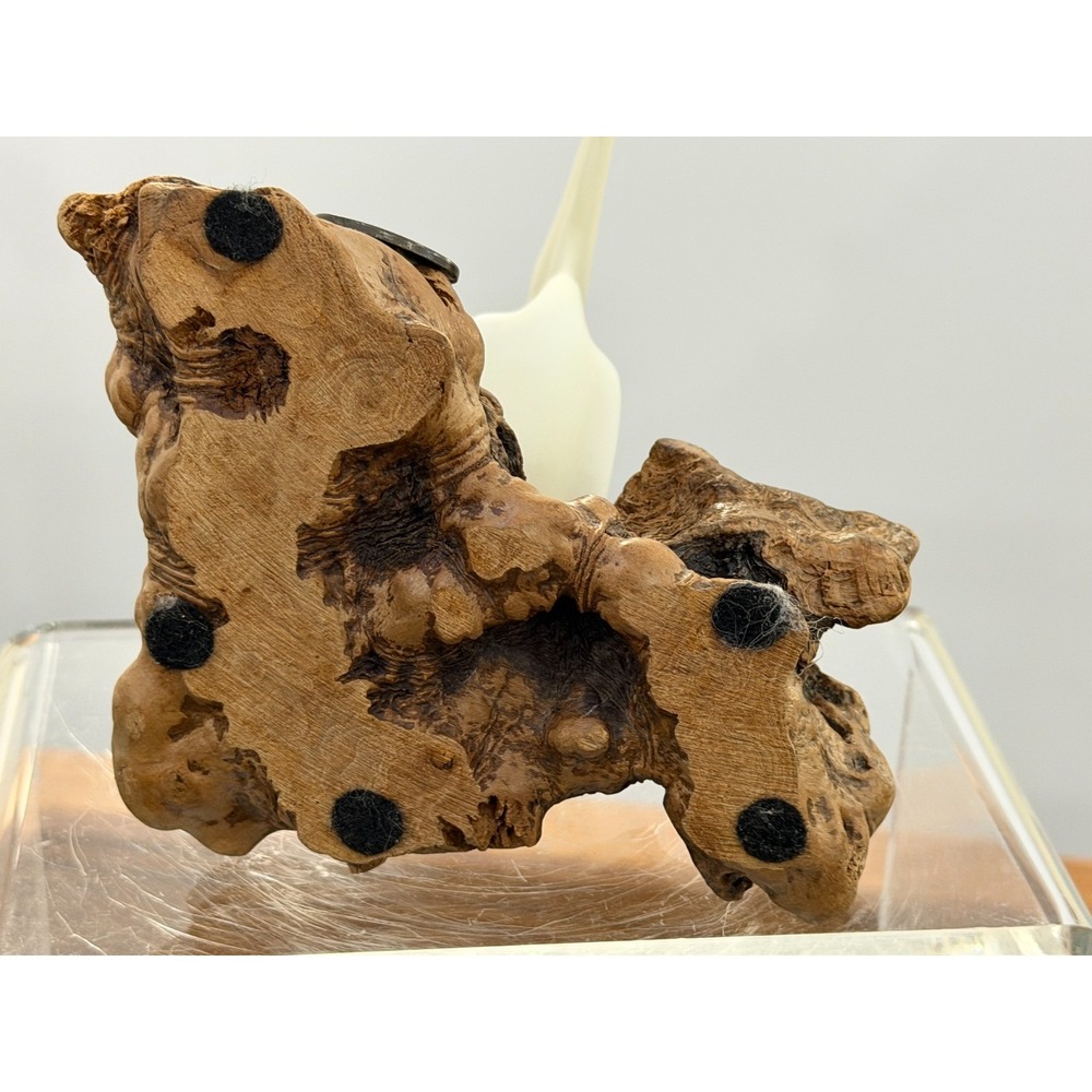 John Perry Pelican Sculpture Figurine Bird Statue Burl Wood Nautical Décor Beach - Picture 8 of 8
